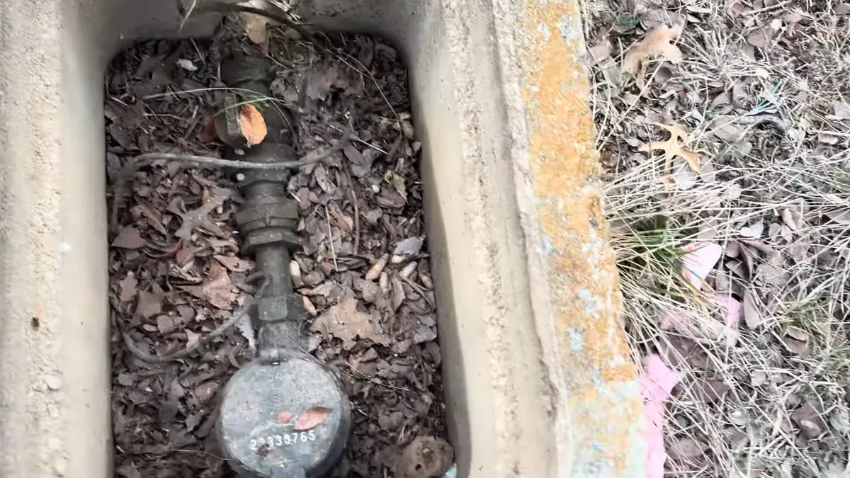 Curbside water meter box opened for inspection for plumbing emergency what to do in Laguna Niguel